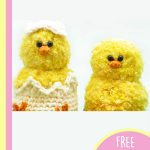 Adorable Crocheted Chicken Family. 2 little chicks one in an egg and one without || thecrochetspace.com