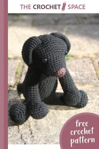 adorable crocheted labrador puppy toy || editor