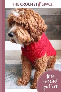 all-size crochet dog sweater || editor