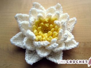 Amazing Crocheted Water Lily || thecrochetspace.com