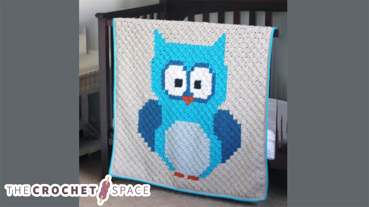 Baby Owl Crocheted Blanket || thecrochetspace.com