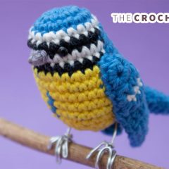 Beautiful Blue Bird Amigurumi || thecrochetspace.com