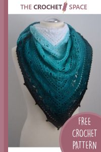 bruinen crocheted lace shawl || editor
