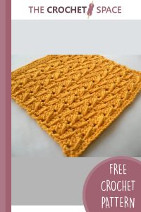 cable stitch crocheted dishcloth || editor