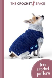 charming crochet dog coat || editor