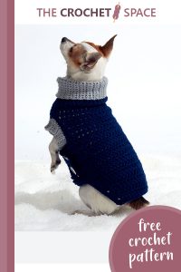 charming crochet dog coat || editor