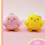 Chip Chip Crochet Chicks. Two little chicks one in a half egg shell, crafted in yellow and pink || thecrochetspace.com
