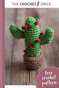 christmas cactus crochet ornament || editor