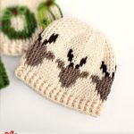 Christmas Crochet Graphic Beanie. Beanie with Reindeer design || thecrochetspace.com