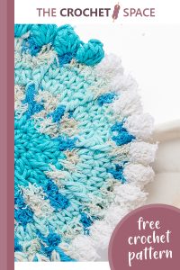 crazy circle crochet dishcloth || editor