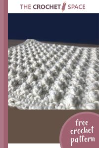 crazy cobble stitch crochet dishcloth || editor