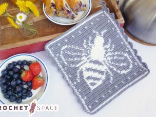 Crochet Bee Hot Pad || thecrochetspace.com