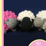 Crochet Bobble Sheep. Three different colored sheep || thecrochetspace.com