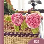 Crochet Cabbage Roses. 2x different sized roses in a bicycle basket || thecrochetspace.com