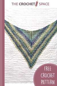 crochet calypso shawlette || editor