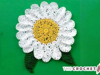 Crochet Daisy Coaster || thecrochetspace.com