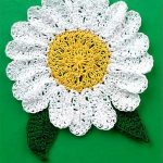 Crochet Daisy Coaster. Large daisy with white petals and yellow middle and green leaves || thecrochetspace.com