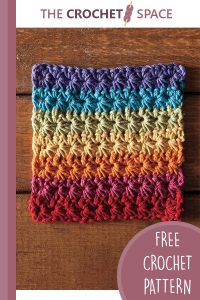 crochet fruity loops dishcloth || editor