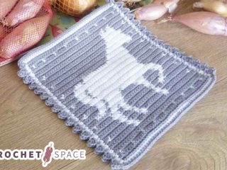 Crochet Horse Hot Pad || thecrochetspace.com