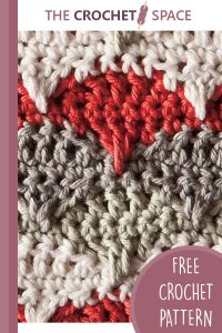 crochet marguerite dishcloth || editor