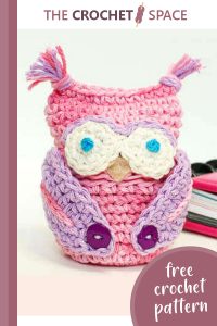 crochet owl apple cozy || editor