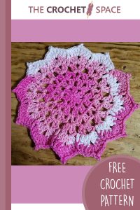 crochet pretty petals dishcloth || editor