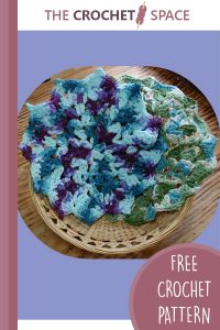 crochet pretty petals dishcloth || editor