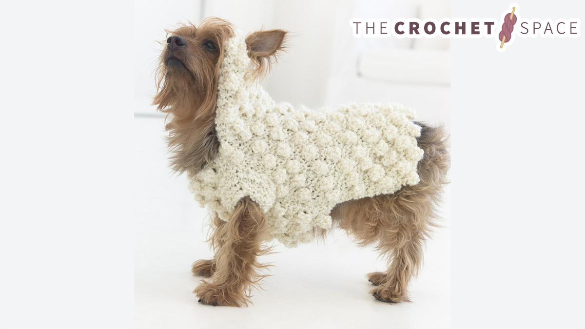Crochet Puff Pooch Sweater || thecrochetspace.com