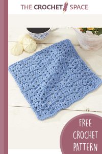 crochet roanoke dishcloth || editor