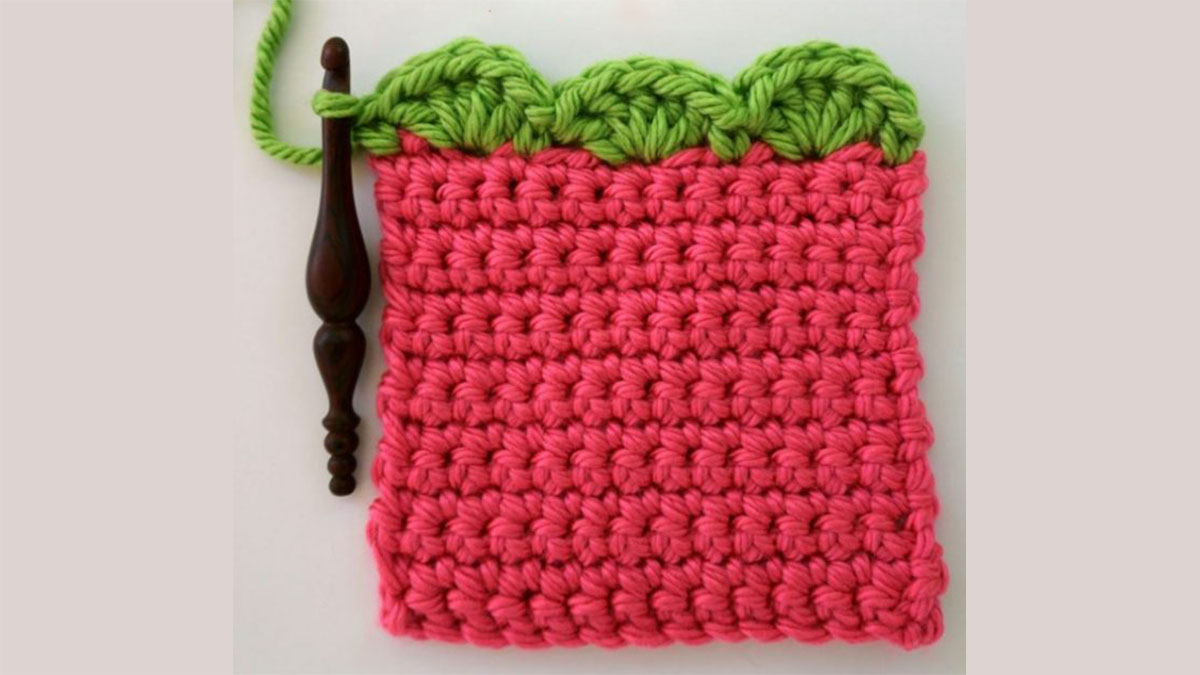 Crochet Shell Stitch Edging