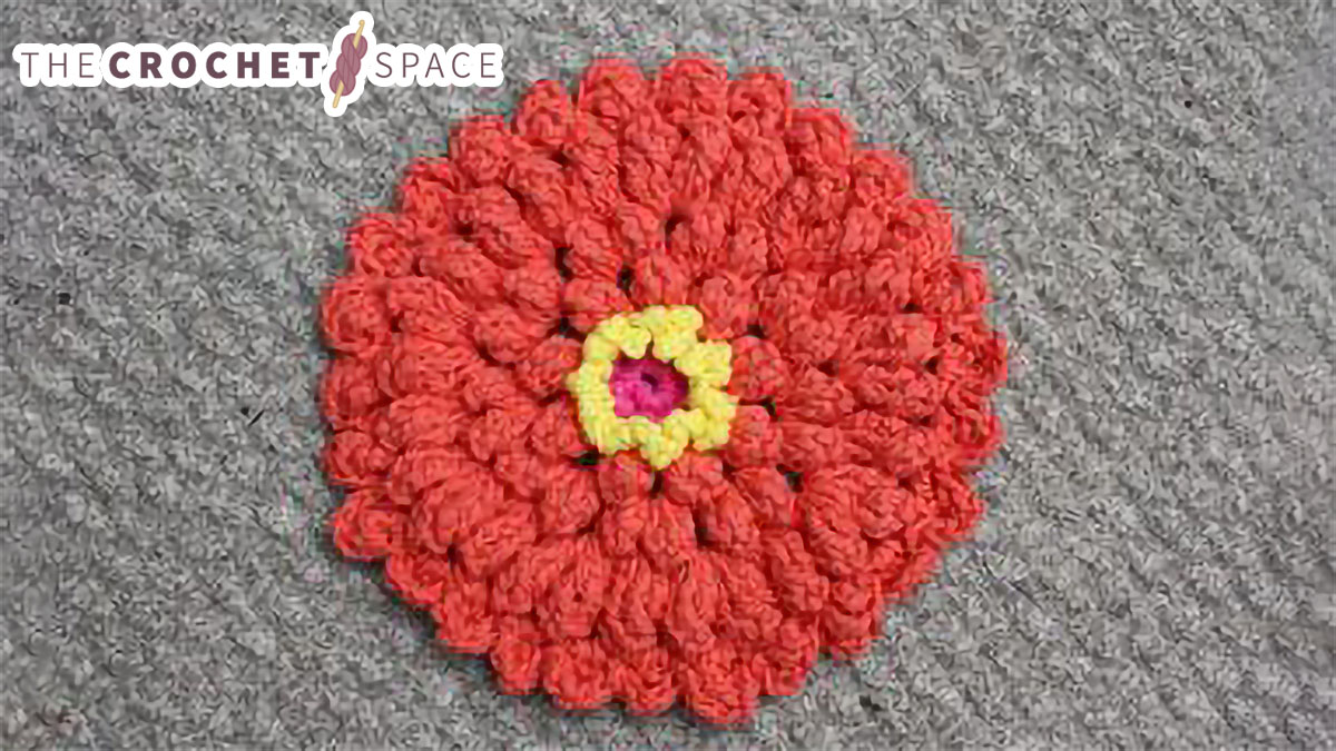 Crochet Zinnia Dishcloth || thecrochetspace.com