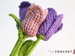 Crocheted Blooming Tulips || thecrochetspace.com