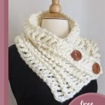 Crocheted Diana Button Cowl