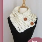 Crocheted Diana Button Cowl