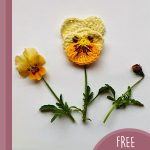 Delicate Crochet Pansy Flowers. 2x shades of yellow pansy. One crocheted in the middle and picked wild flowers either side || thecrochetspace.com