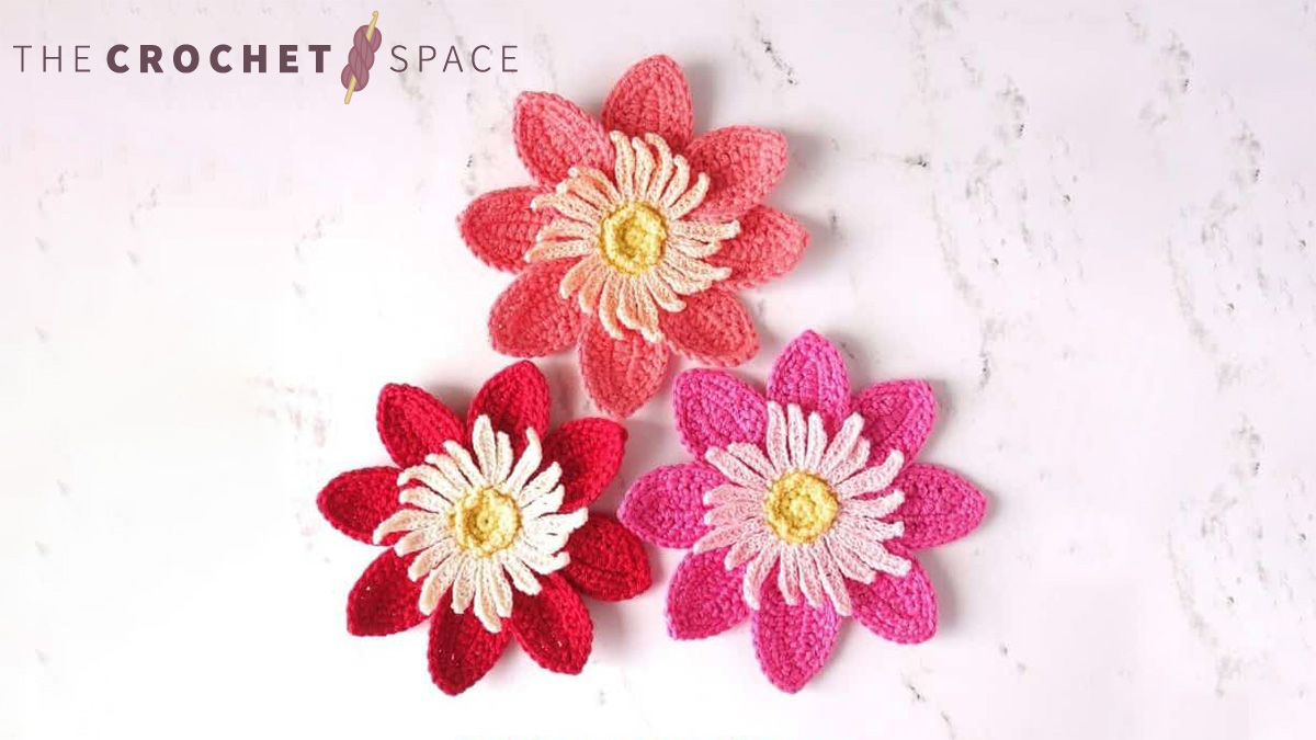 Delightful Dahlia Crochet Flower || thecrochetspace.com