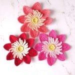 Delightful Dahlia Crochet Flower. 3x flowers in different colors || thecrochetspace.com