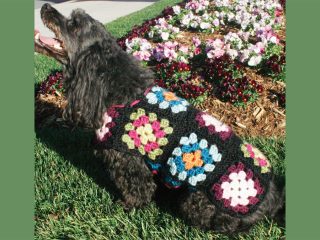 Dogs Crochet Granny Sweater || thecrochetspace.com
