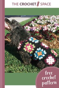 dogs crochet granny sweater || editor
