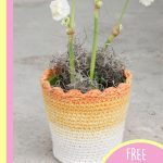 Easter Blossom Crocheted Pot Cover. Tiny, live Daffodils in pot || thecrochetspace.com