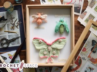 Easy Crochet Insect World || thecrochetspace.com
