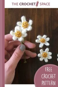 easy summer crochet daisies || editor
