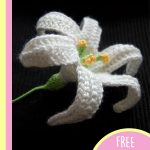 Enchanting Crocheted Easter Lily.Lovely white Lilly with yellow stamen || thecrochetspace.com