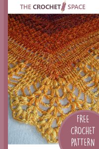 erigeneia crocheted lace shawl || editor