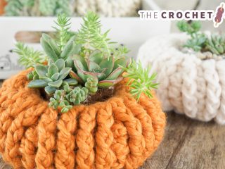 Festive Crochet Pumpkin Planter || thecrochetspace.com