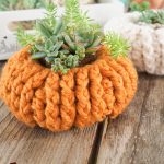 Festive Crochet Pumpkin Planter. Up close image of one pumpkin plant holder crafted in orange || thecrochetspace.com