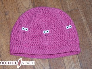 Fun Crocheted Owl Beanie For Adults