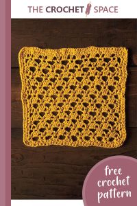 golden lattice crochet dishcloth || editor