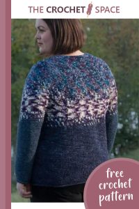 gorgeous gradvis crochet sweater || editor