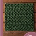 green gables crochet dishcloth || editor